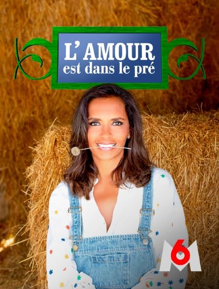 Poster for L’Amour est dans le pré, showing Karine Le Marchand in front of a hay bale